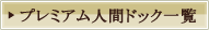 �v���~�A���C���v�����g